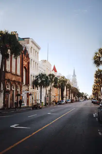 Historic Charleston street lined with tall buildings and palm trees in spring