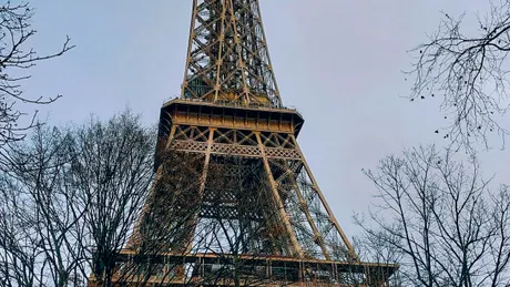 Eiffel Tower framed by bare winter trees in Paris